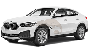 BMW X6 G06 07/2019-03/2023