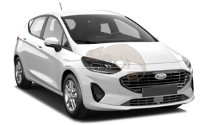 FORD FIESTA 01/2022-12/2022