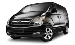 HYUNDAI H1 Starex 01/2008-